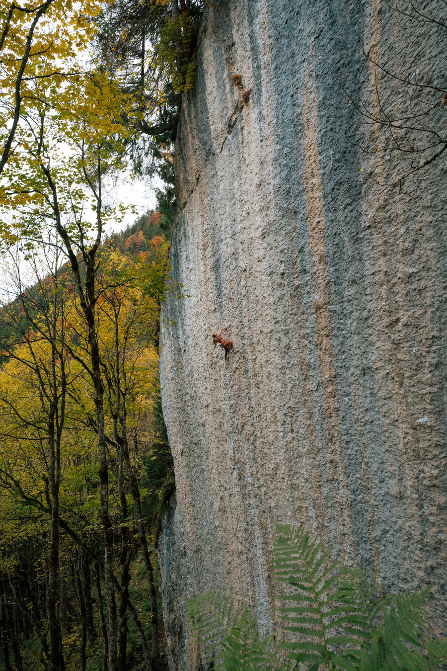 Michaela Kiersch climbing