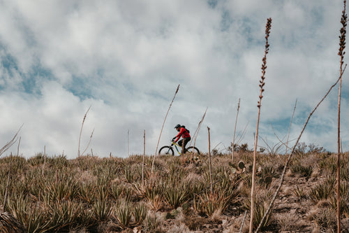 Mountain biker riding a hillside trail — Rhino skin care for MTB athletes.