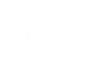 RhinoSkinSolutions
